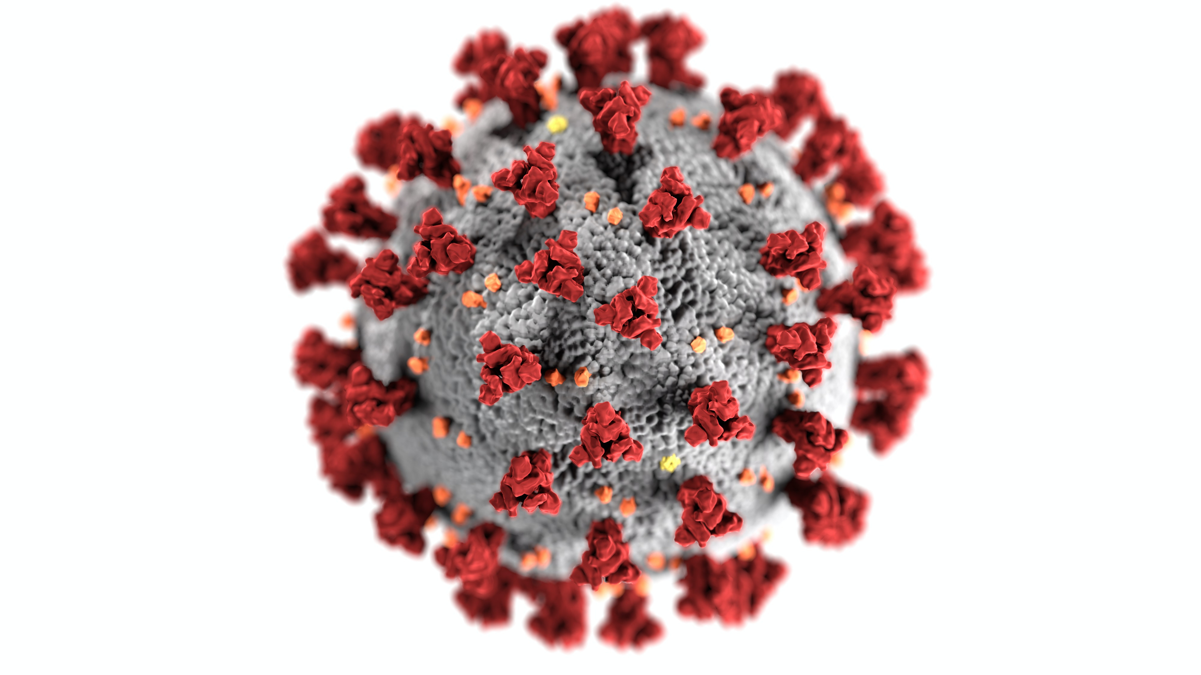 coronavirus-3992933.jpg